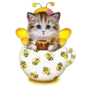 Gatitos💞2🇵🇪Clásica 4