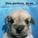 Dios perdona, yo no