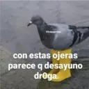 @froggyposting
con estas ojeras
parece q desayuno
droga