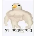 ysi noquiero q