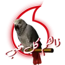 Ramadan & Eid Stickers 15