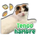 Persy Tenco hambre