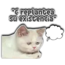 *C replantea su existencia* Persy