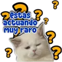 208 actuando Muy raro ? บ Persy ? ?