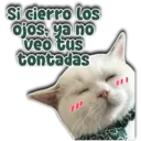 Si cierro los ojos, ya no veo tus tontadas Persy