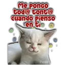 Me ponGo tod@ tont@ cuando pienso en tio Persy