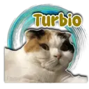 Persy Turbio