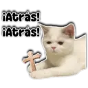 ¡Atrás! ¡Atrás! Persy