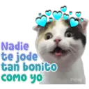 Nadie te jode tan bonito COMO YO Persy