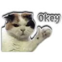 Persy Okey