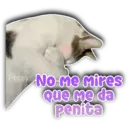 Persy No-Me mires que me da penita