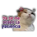JU Ya se me acabó la Paciencia Persy