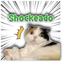 Shockeado Persy