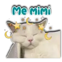 Me Mimi Persy