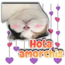Persy Hola amorchis