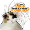 ¿Qué insindas? Persy