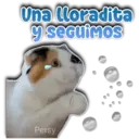 ea.pedon) eun y Seguimos Persy