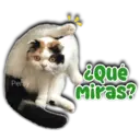 Persy ¿Qué Miras?