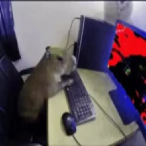 Capibara 2 MOV 9