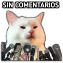 SIN COMENTARIOS