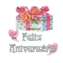 Feliz Aniversário 27