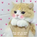 etic this cat is cute and so are you :')