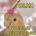 OLHA VOCÊ ME RESPEITE VIU