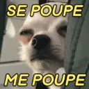 SE POUPE ME POUPE