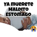 YA MUERETE MALDITO ESTOMAGO