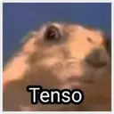 Memes aleatórios 19
