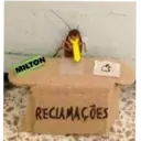 MILTON as RECLAMAÇÕES