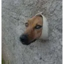 Memes aleatórios 14
