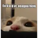 Eu li o q vc apagou hein