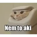 Nem to aki