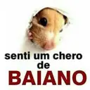 senti um chero de BAIANO