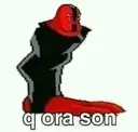qora son