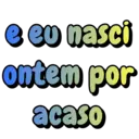 Frases Nordestinas 4