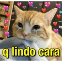 APAIXONAD💖 12