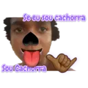 As Pestes 1