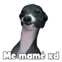 Random 4