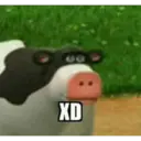 Nochupala 10