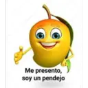 Nochupala 24