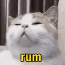 PACOTE DE REAÇOES😂 3