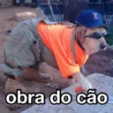 obra do cão