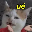 MEMES PROS AMIGOS 8