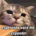 esperando você me responder