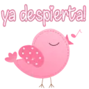 ya despierta!