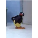 Pingu memes sem palavrãos 19