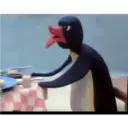 Pingu memes sem palavrãos 26