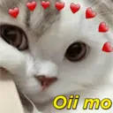 MEMES FOFOS PRA VC 17